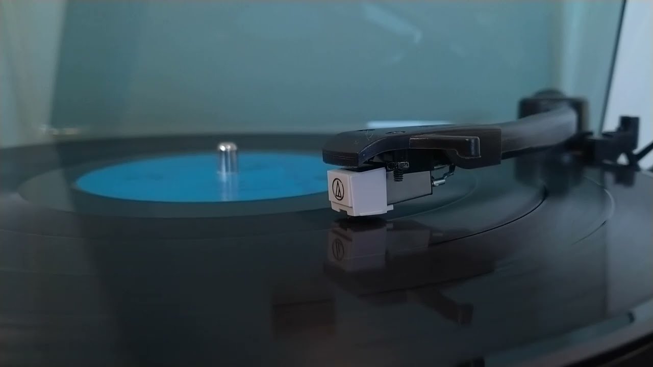 Divlje jagode - Jedina moja (1979. HQ Vinyl)