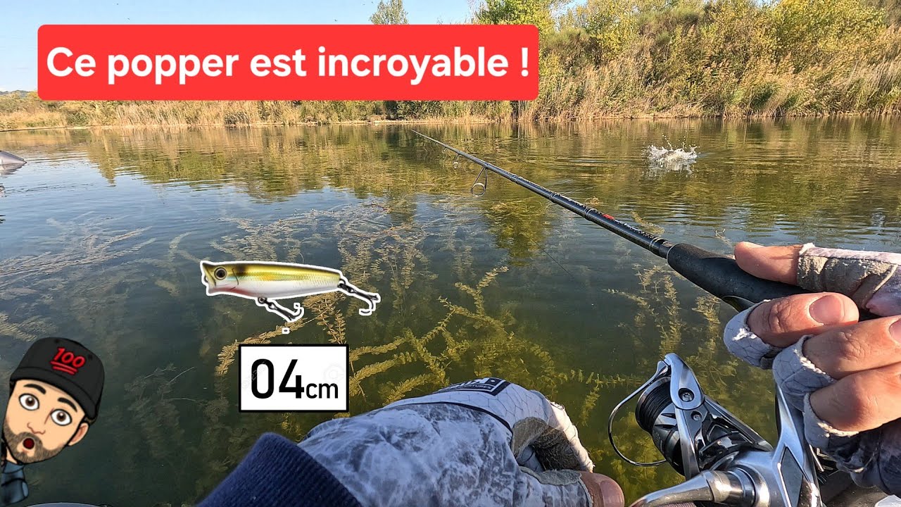 Ce popper les rend tous fou !!!