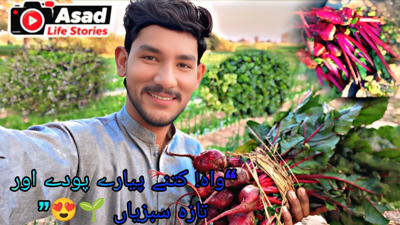 Fresh Village Farm Vegetables & Green Plants | Beautiful Field Vlog 🌱