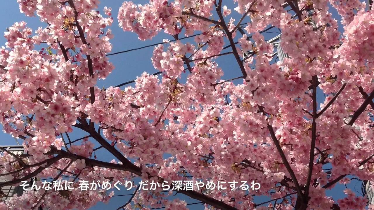 昔があるから  前川  清