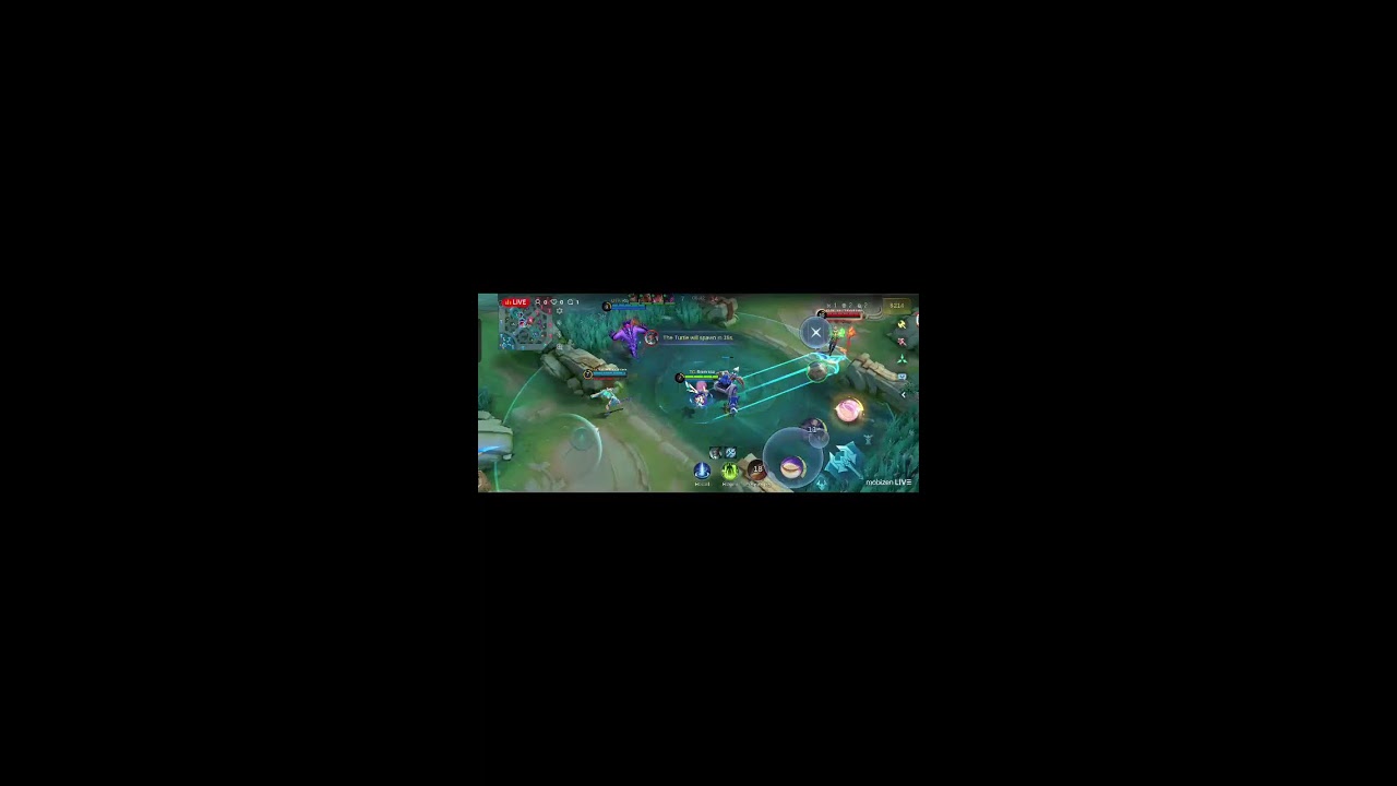MobizenLiveStream