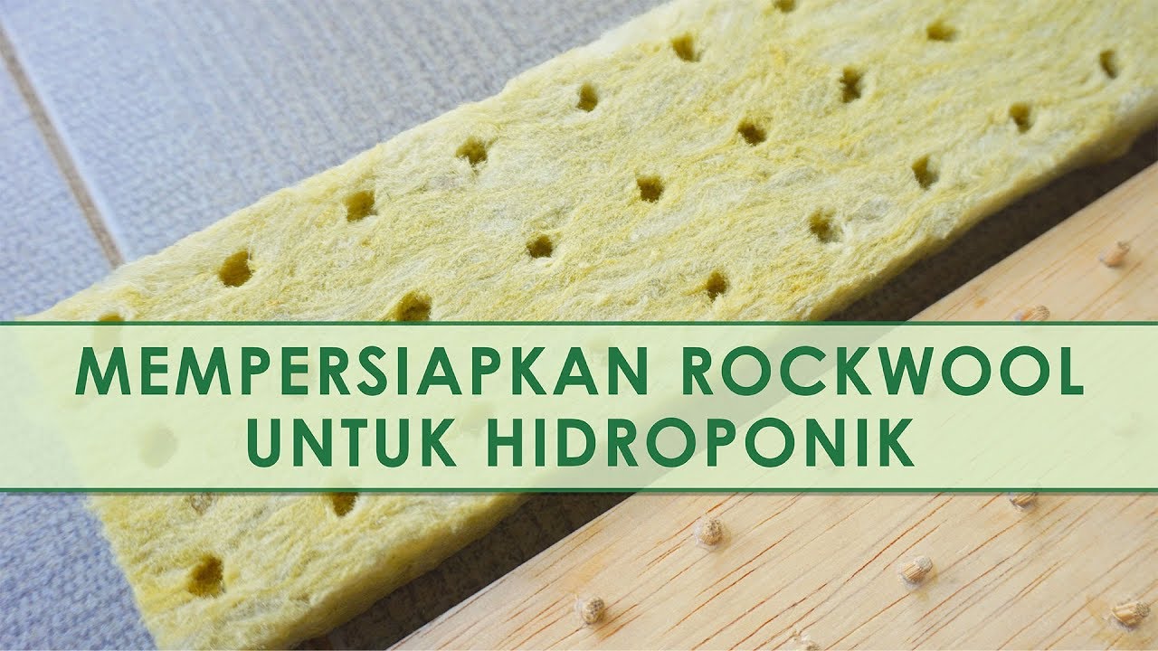 [UPDATE] LEBIH JELAS Cara Memotong Rockwool untuk Hidroponik
