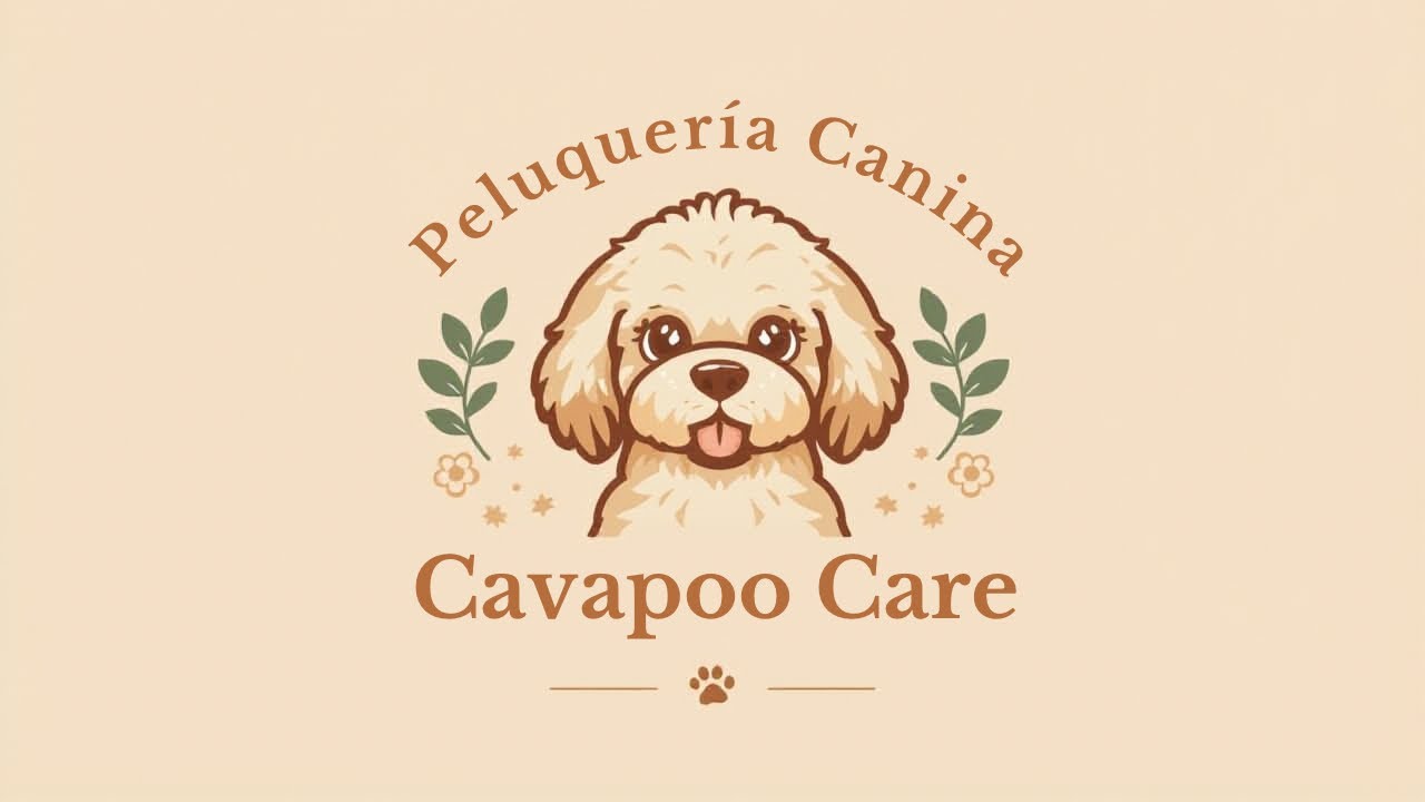 ✂️ Peluquería canina a Cavapoo 🐶 #grooming #fluffydog #cavapoopuppy #perros #parati #yosoydelos7mil 