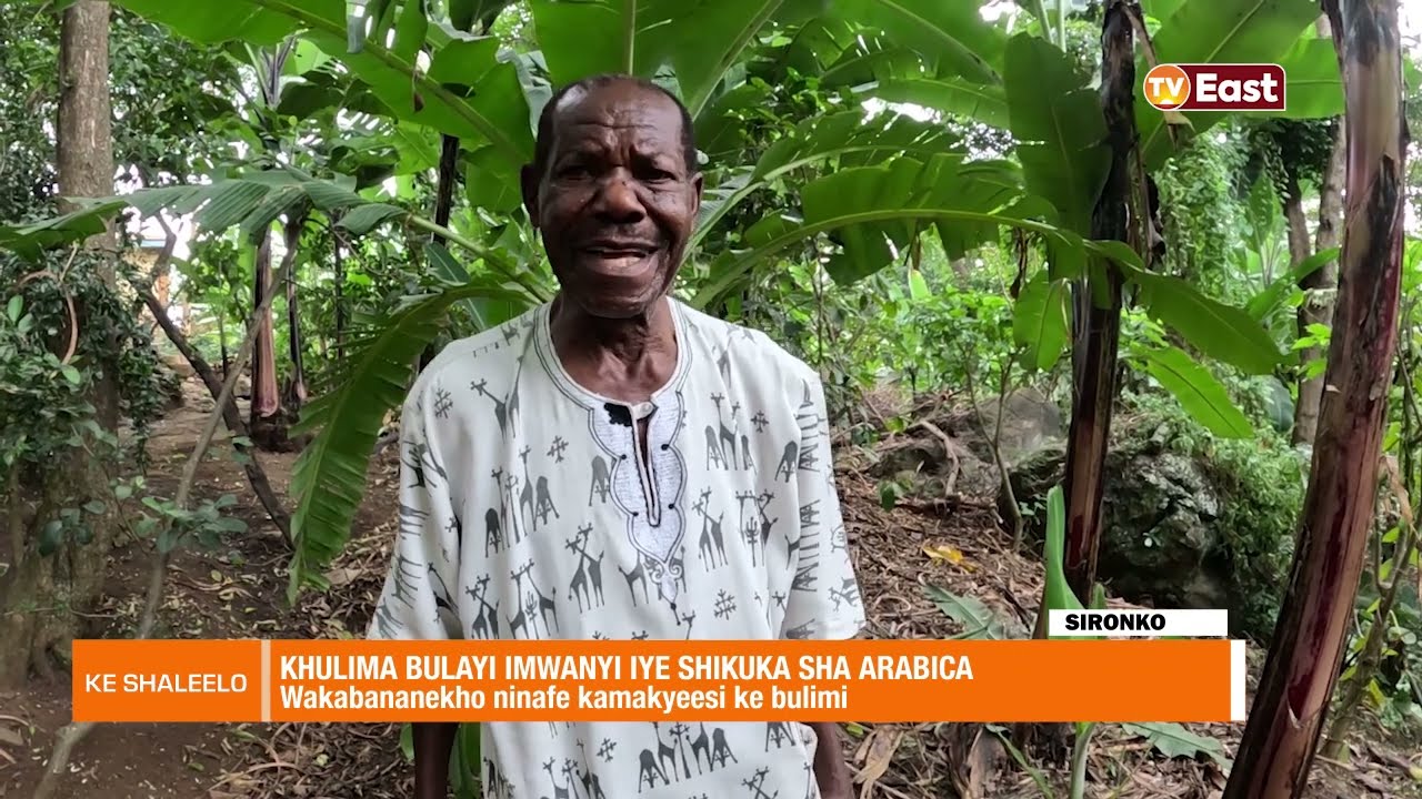 KE SHALEELO 27 12 23 SIRONKO MASOLO HENRY COFFEE MODEL FARMER