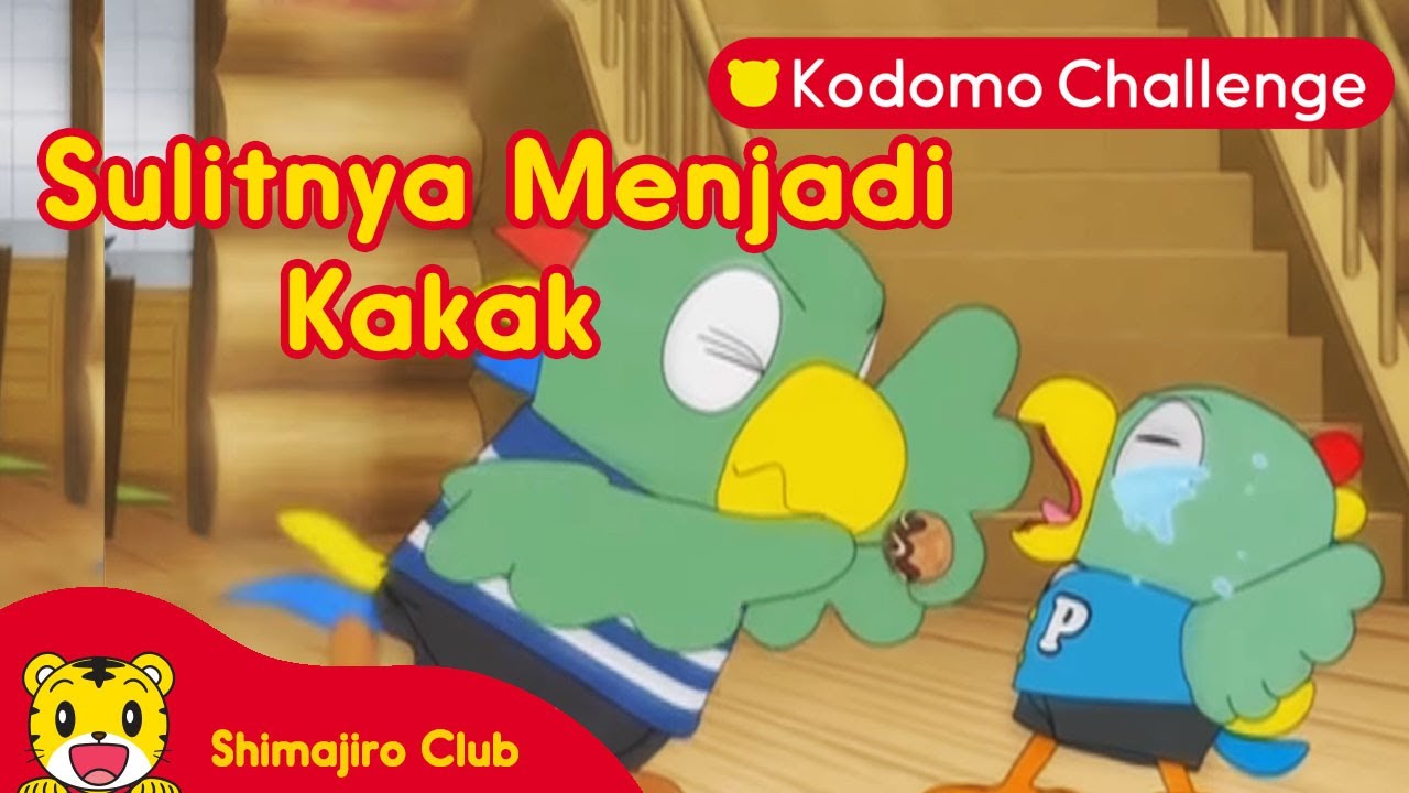 Shimajiro | Sulitnya Menjadi KakakI Kodomo Challenge