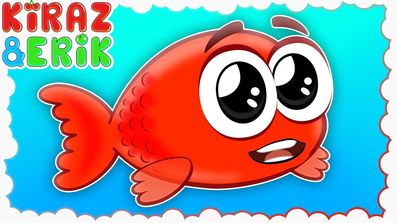 🐠 KIRMIZI BALIK ve 