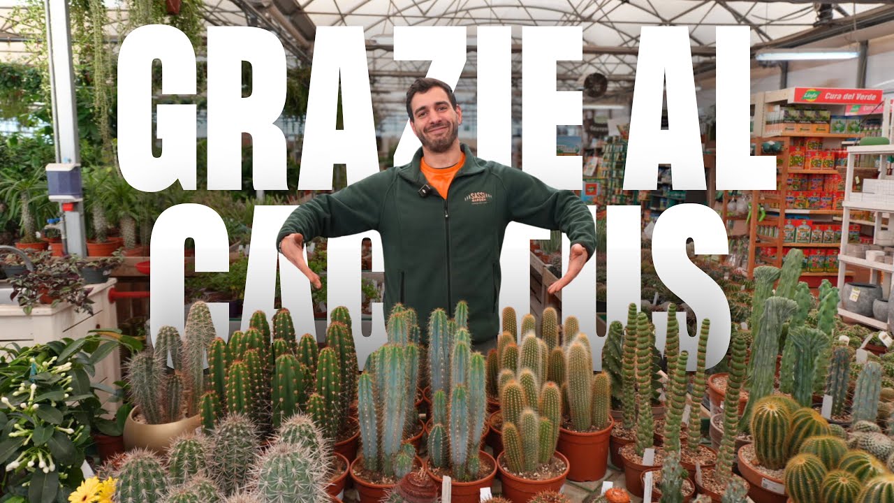GRAZIE AL CACTUS: -25% su Tutte le Piante Grasse da Sassi Garden!