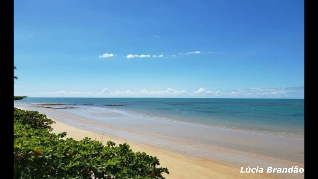 Observando o Mar
