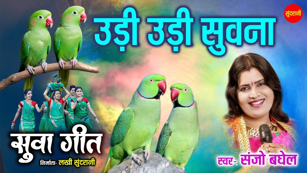 Udi Udi Suwana | उड़ी उड़ी सुवना | Singer- Sanjo Baghel -Suav geet -2025