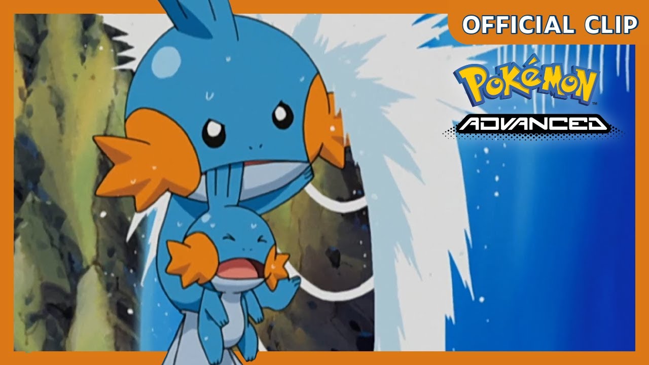 Baby Mudkip! | Pokémon: Advanced | Official Clip
