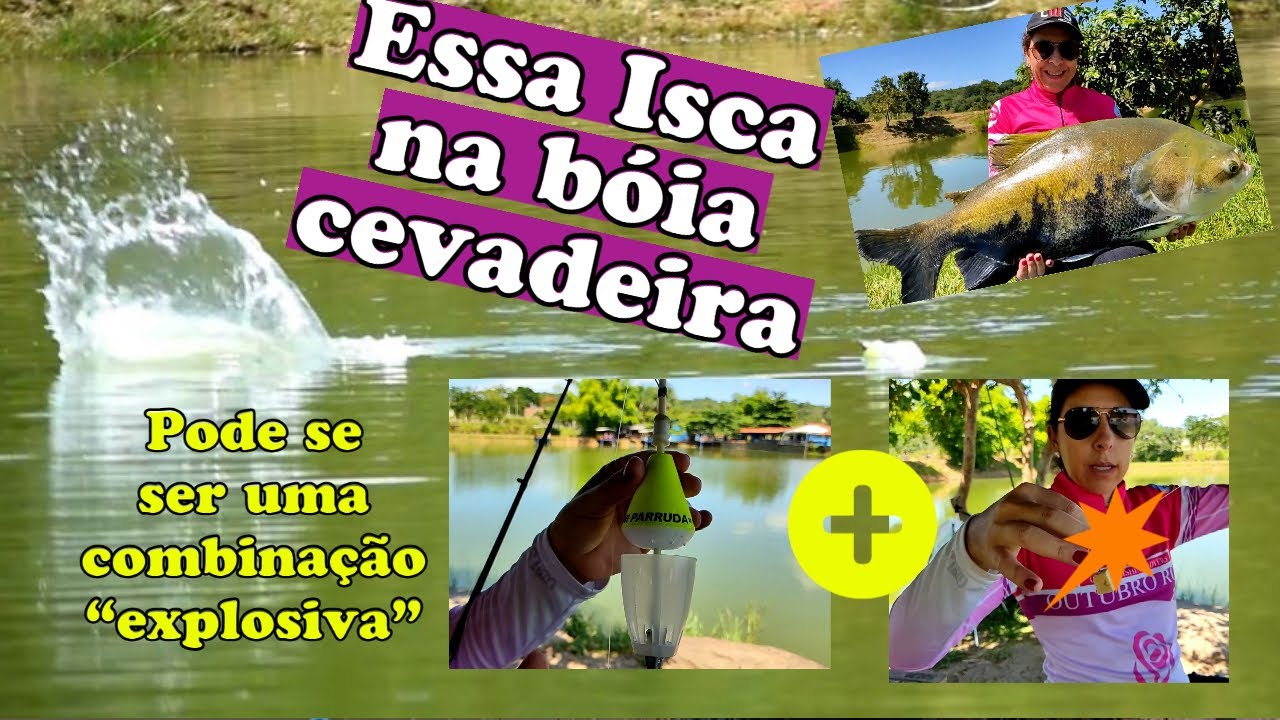 Essa isca tamb&eacute;m &eacute; muito boa, na boia cevadeira!! Grande dia de pesca!!