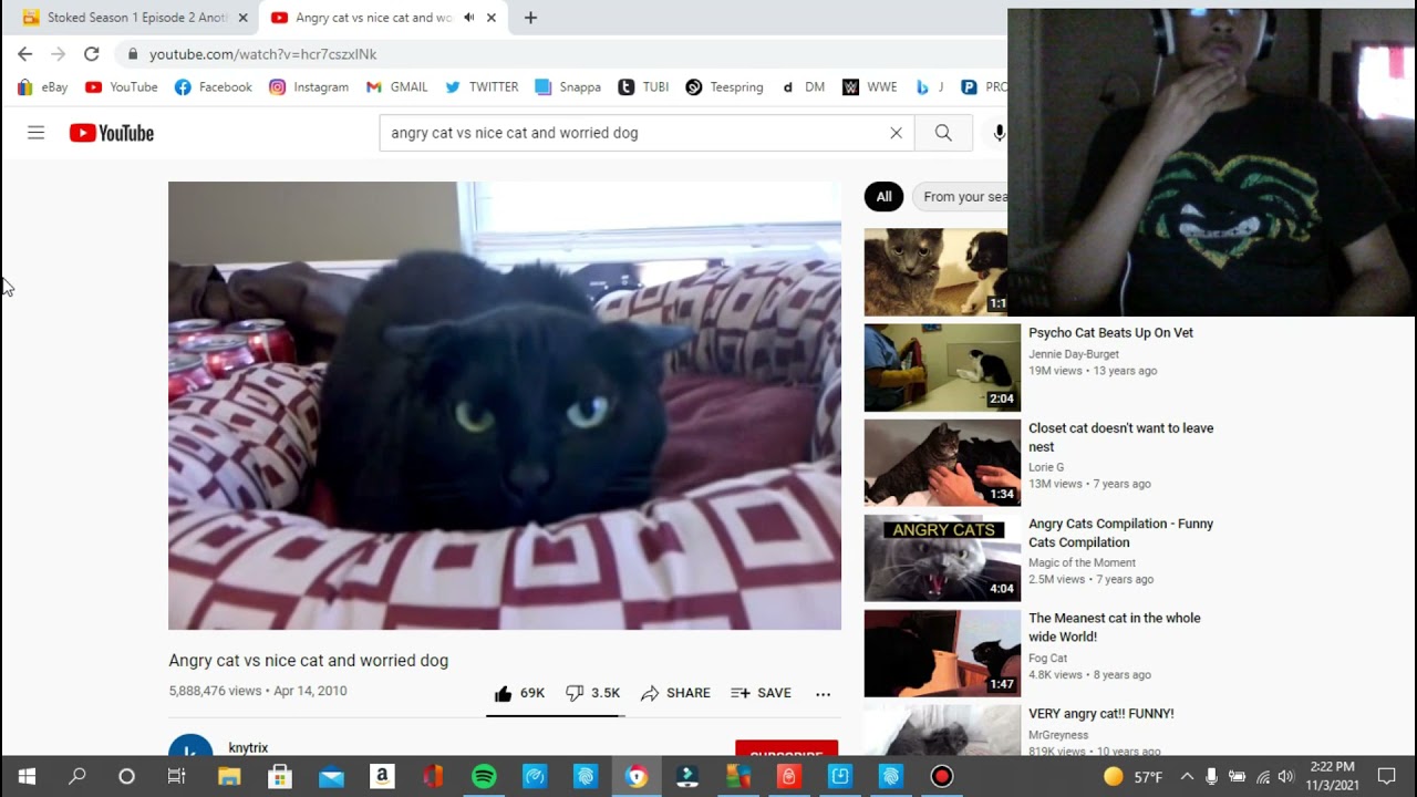 S3 Fan reaction Angry cat vs Nice cat and worried dog