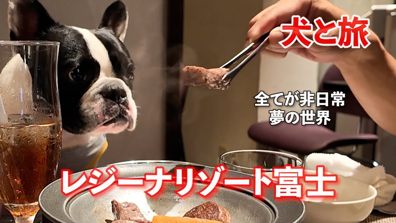 犬旅！夏の河口湖♡全てがhigh qualityのお宿レジーナリゾート富士で過ごす一夜。話題スポットにも行ってみた。
