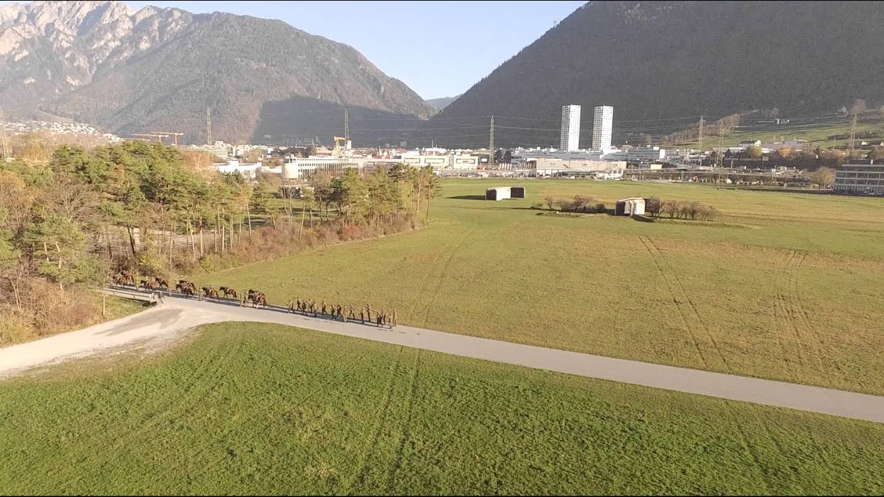 Schweizer Armee Pferde Swiss Army Horse 2015 II