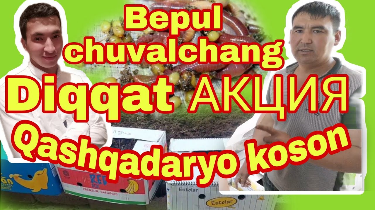 Qashqadaryo viloyati koson tumaniga chuvalchanglarni yetqazib berdik +998995198597