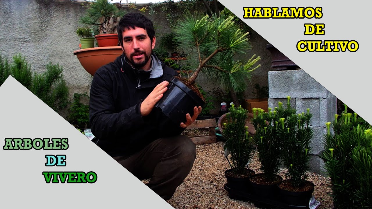 Hablemos un poco de cultivo
