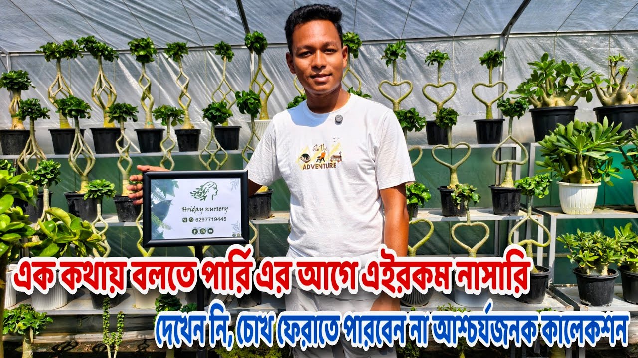 বাগান সাজানোর সেরার সেরা গাছের কালেকশনের সাথে অসাধারণ ডেকরেশন / west Bengal Decadron plant Nursery 
