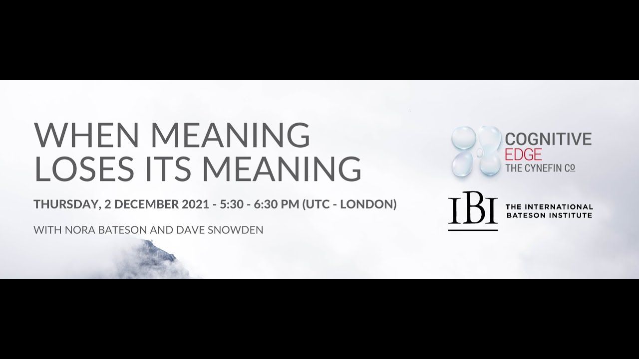 When meaning loses its meaning: A conversation with Nora Bateson & Dave Snowden - Part 1