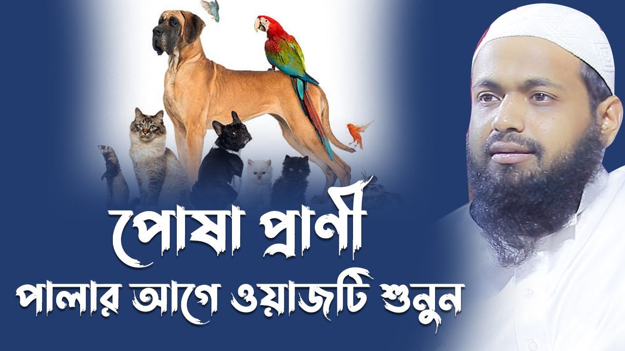 পোষা প্রাণী পালার আগে আরিফ বিন হাবিব ওয়াজ Mufti arif bin habib New waz Bangla New Waz 2022
