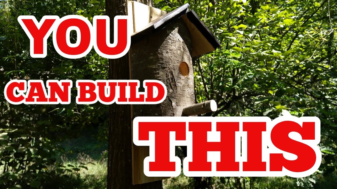 Homemade Bird Houses from Natural Log(DIY nesting Bird Box)