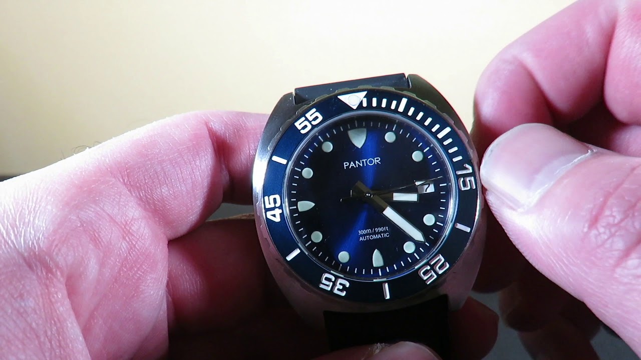 PANTOR SeaLion Automatic Mens Diving Watch - A Smaller Seiko TURTLE?!