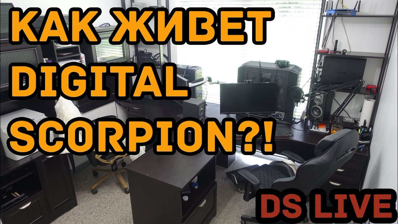 Компьютерная жизнь Digital ScorPion'а!)