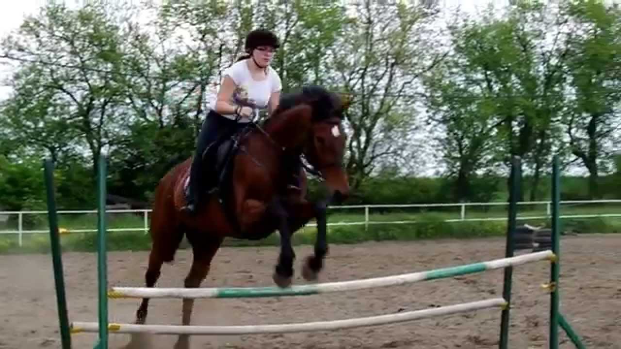 Technik hodowca koni