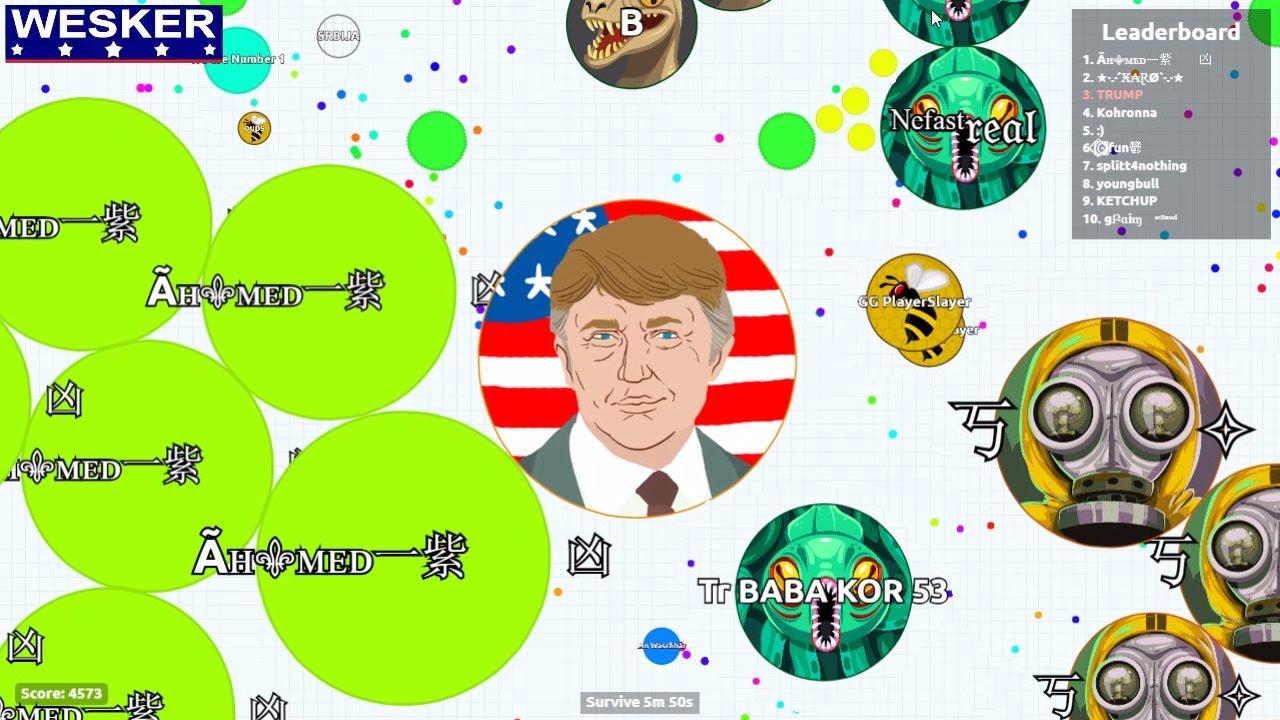 Agario FFA Solo - Politics
