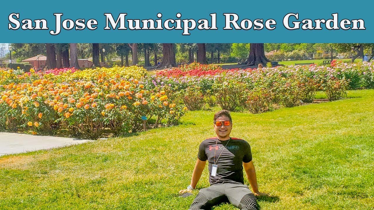 San Jose's Rose Garden, in full bloom during spring.