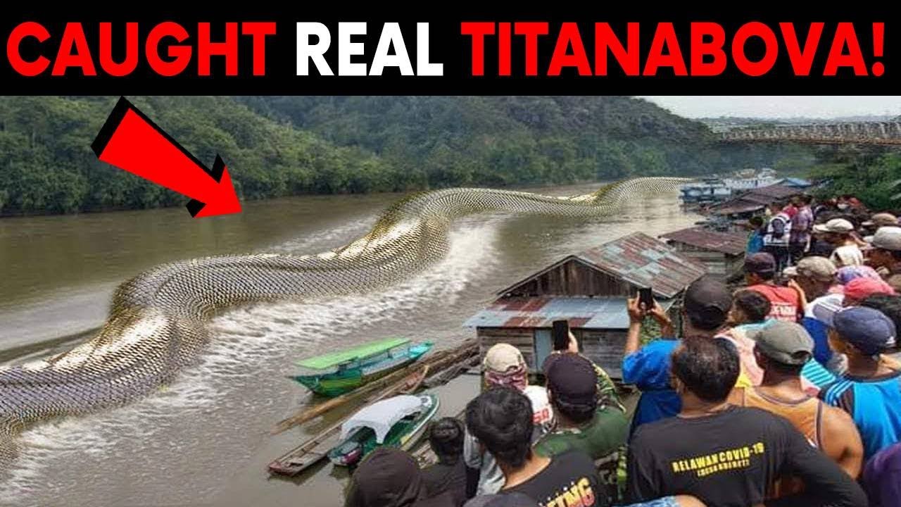 உலகை மிரளவைத்த வெறித்தனமான சம்பவங்கள் | Incidents That Shocked The World | Minutes Mystery