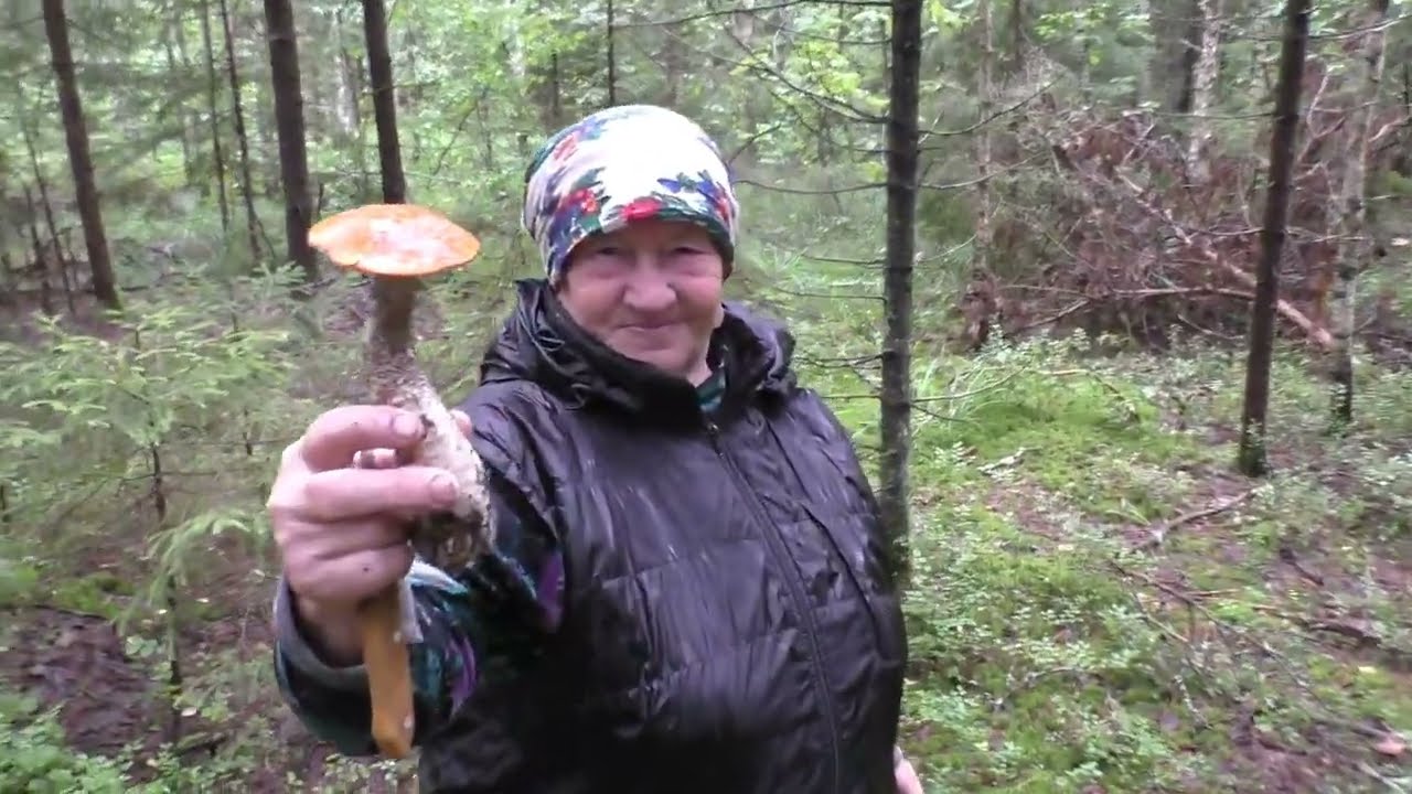 НУ БАБУШКА НУ ДАЁТ, ЛУЧШЕ ВСЕХ НАХОДИТ БЕЛЫЕ ГРИБЫ! ОПЫТНАЯ ГРИБНИЦА!