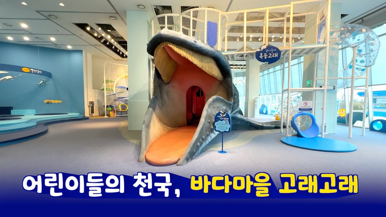 키즈카페보다 100배 재미있는 바다마을 고래고래!!