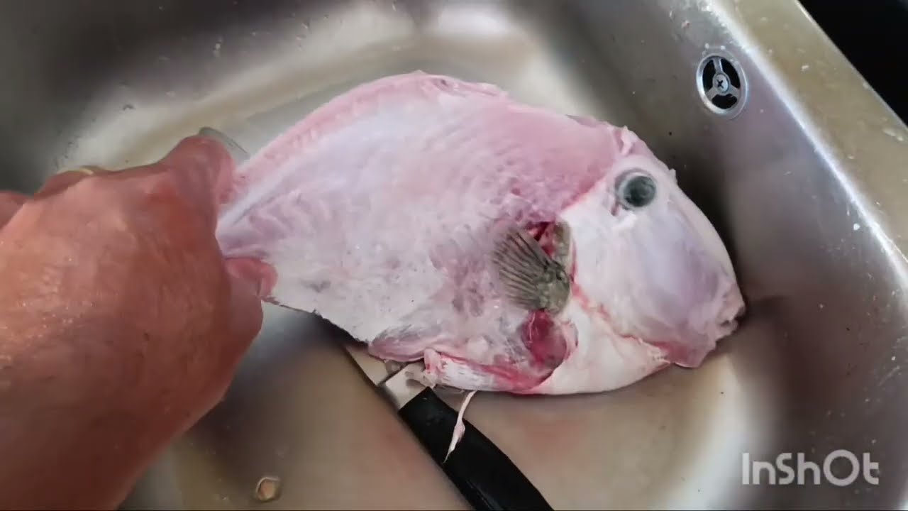 PESCA DE PRAIA FINAL DO VERÃO DE 2025 EM PORTUGAL) conhecemos inscritos do canal.....