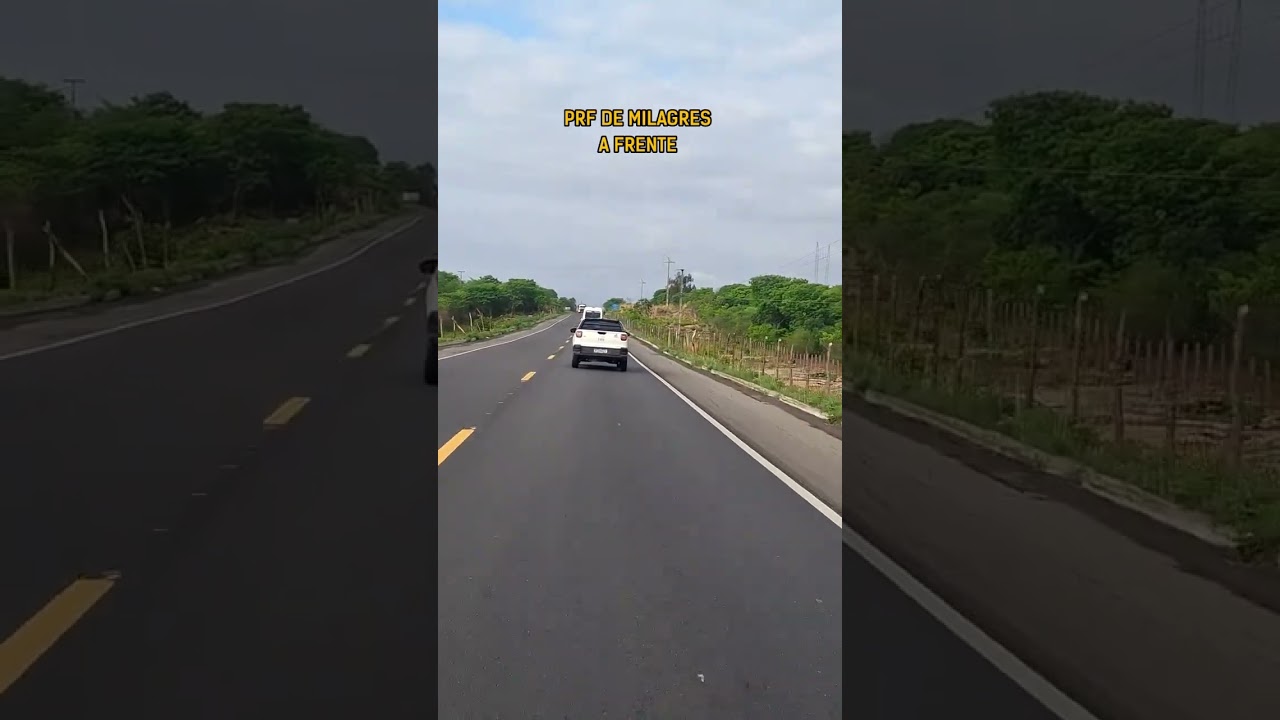 música linda 