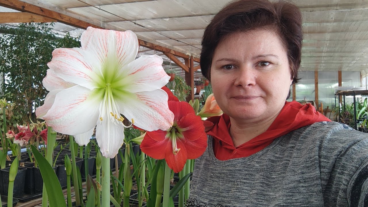 Поздравляю всех с праздниками! 