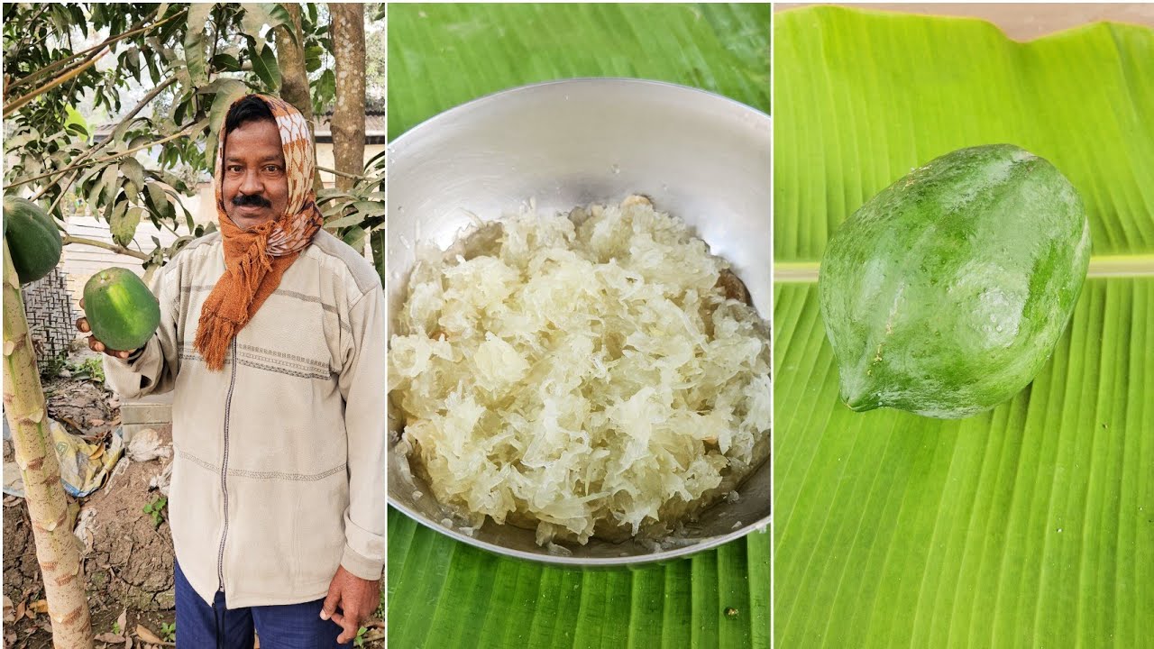 Papaya Cooking Bengali Style | Village Traditional Food Cooking 
