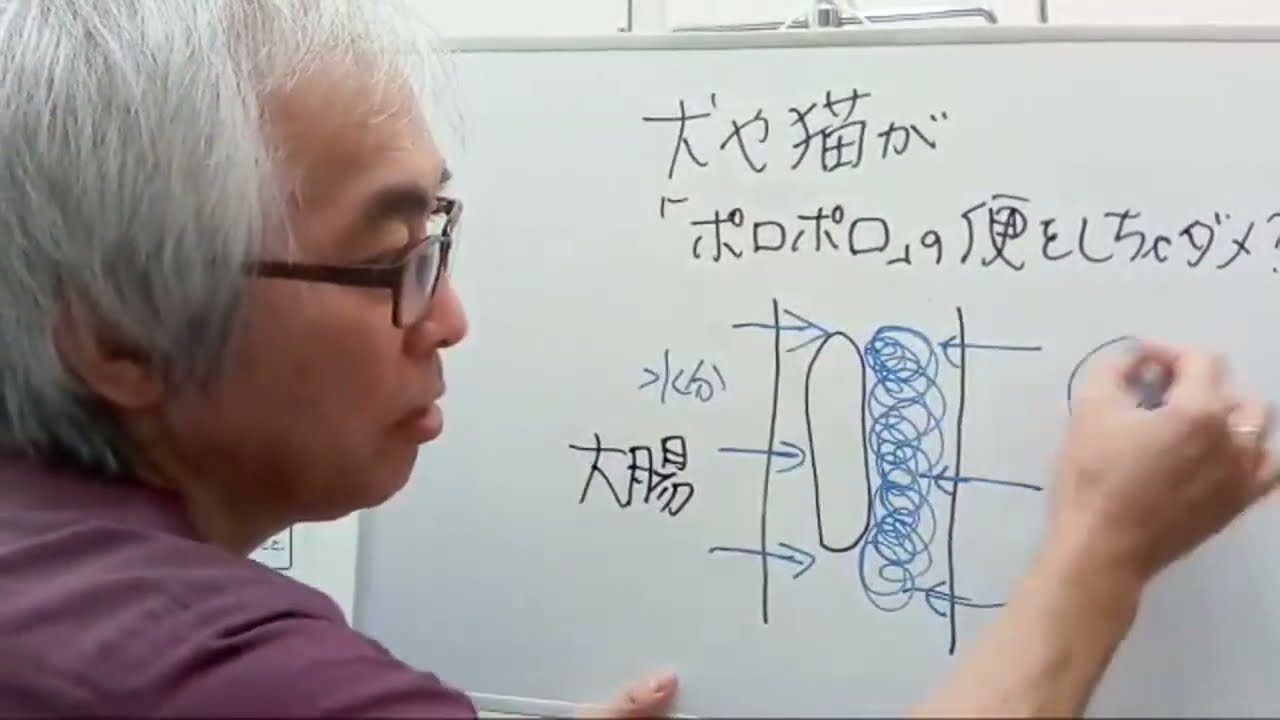 犬や猫がポロポロの便をしてちゃダメですか？