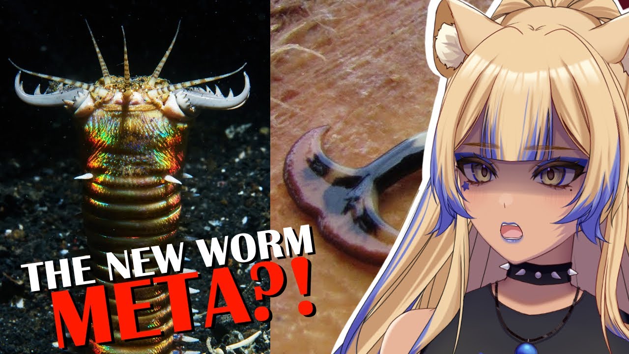 Worms are DIABOLICAL | Worm Tier List | Tierzoo Reaction