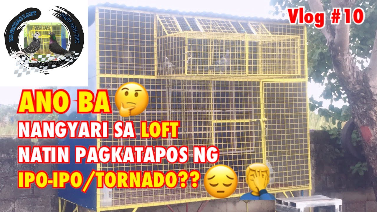 UPDATE SA LOFT PAGKATAPOS NG IPO-IPO