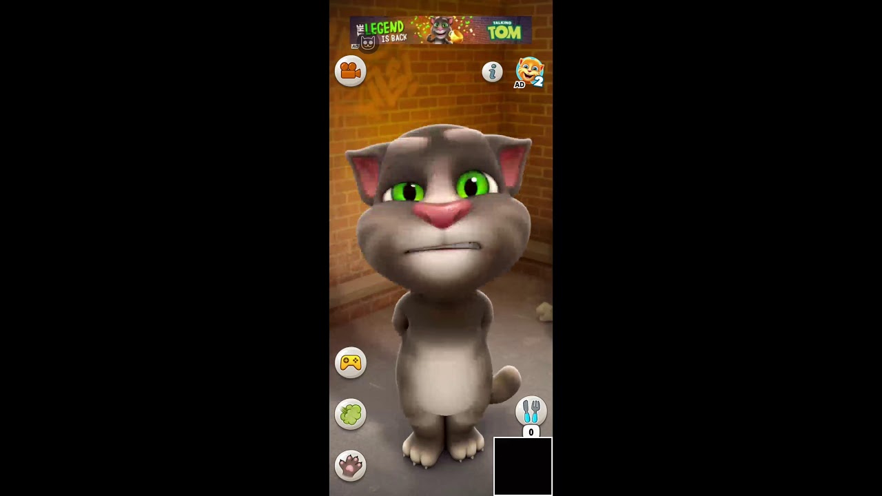 talking tom game