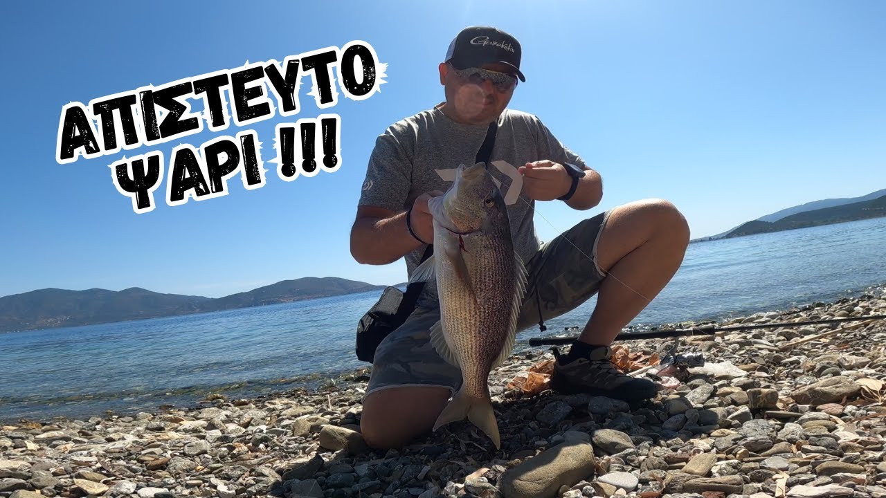 Ένα υπέροχο ψάρι.....κυνηγώντας κοκκάλια !!! A beautiful dentex on a small jig !!!