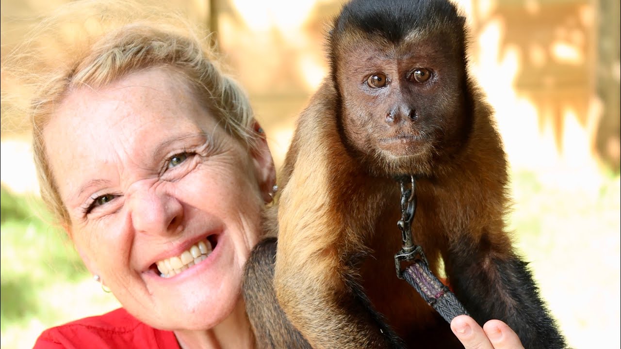 Stitching in the Dominican Republic Part Two (we received some exciting news!) 