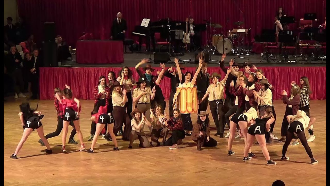Maturitní ples - Lucerna 24. 1. 2025 -  Programová vystoupení