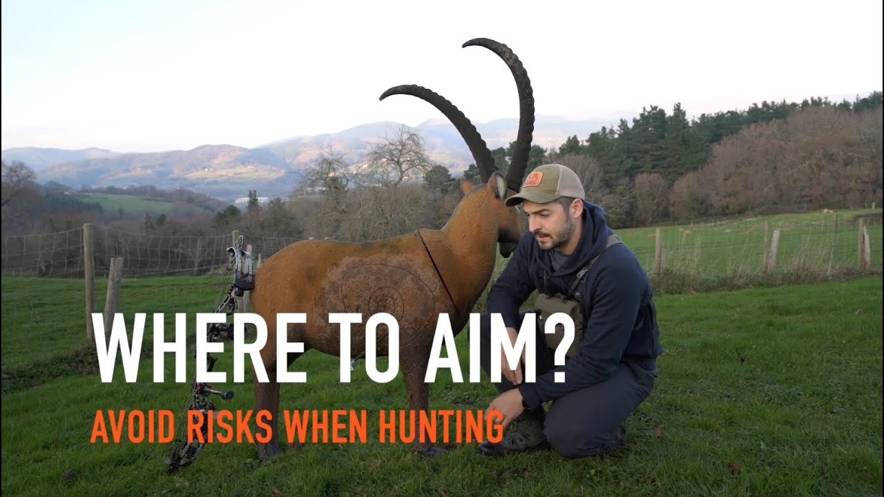 WHERE TO AIM WITH THE BOW?