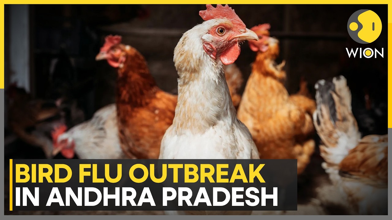 Andhra Pradesh Deploys Rapid Response Teams To Contain Bird Flu Outbreak | WION News