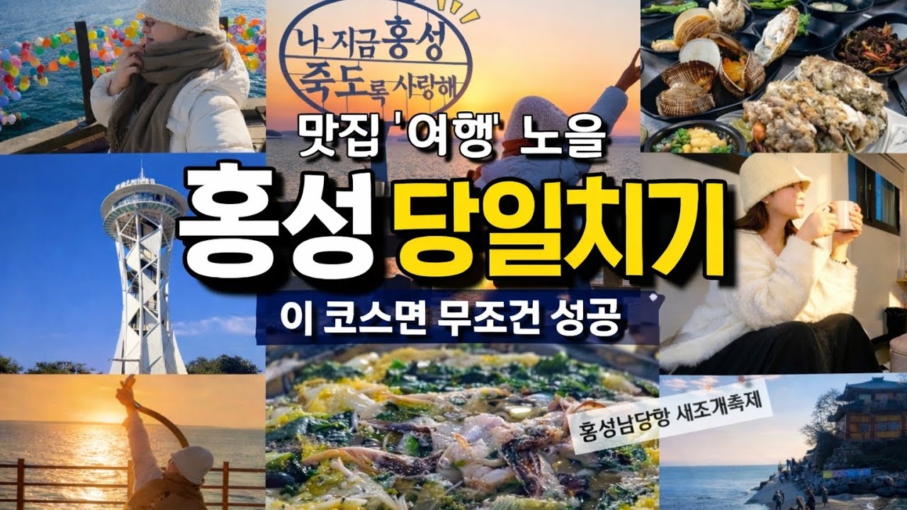 🥇 솔직히 말하면… 홍성 여행, 이렇게까지 좋을 줄 몰랐습니다 | 아침엔 새조개, 저녁엔 노을🌆 하루가 꽉 찼다｜홍성 솔직후기✌️