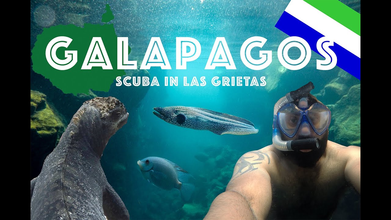 My First Eel Encounter! Scuba Diving Las Grietas, Galápagos 🌊🐠