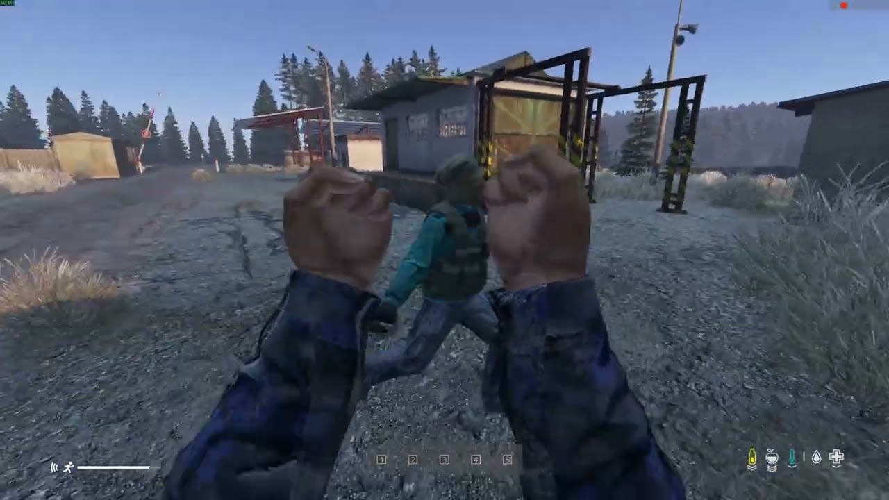DayZ Random Moments