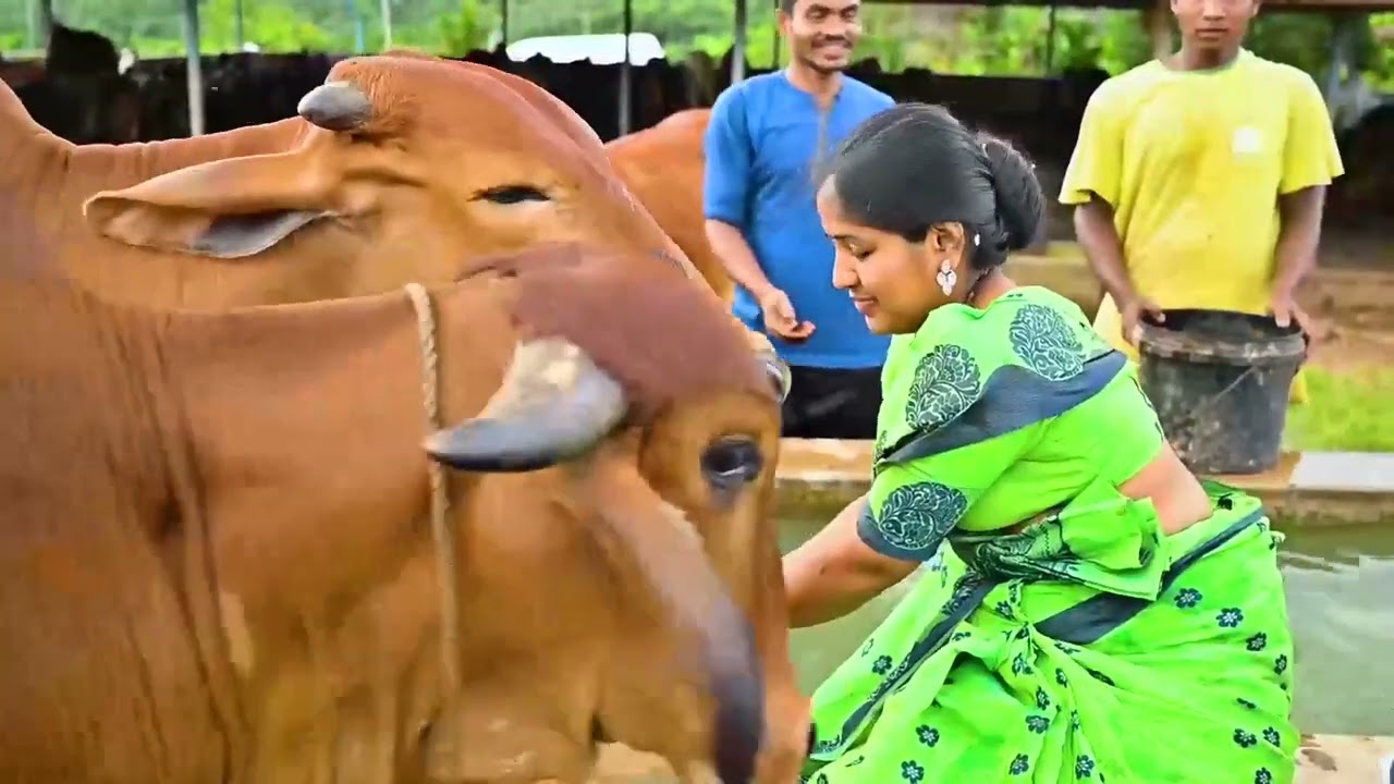 Dr. Nagaratna I Co- Founder of Bekal Gokulam Goushala