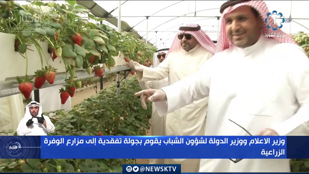 وزير الاعلام ووزير الدولة لشؤون الشباب يقوم بجولة تفقدية إلى مزارع الوفرة الزراعية